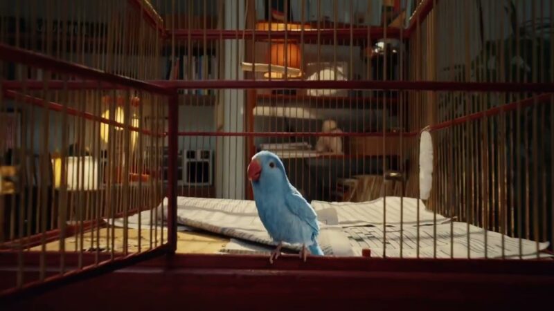 Still from the Erste – The Birdcage commercial, directed by Dom&Nic